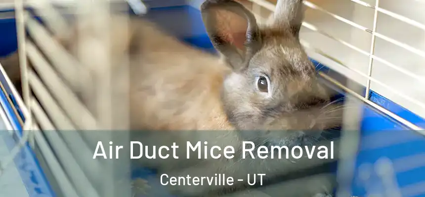  Air Duct Mice Removal Centerville - UT