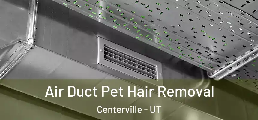 Air Duct Pet Hair Removal Centerville - UT