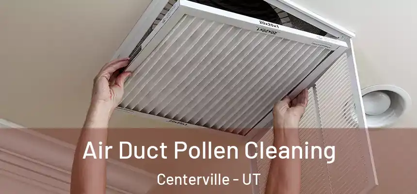 Air Duct Pollen Cleaning Centerville - UT