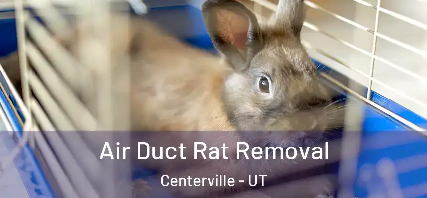 Air Duct Rat Removal Centerville - UT