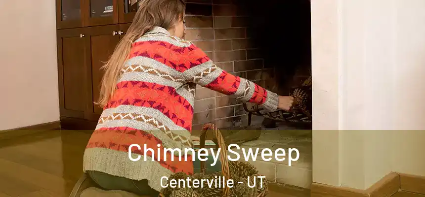 Chimney Sweep Centerville - UT