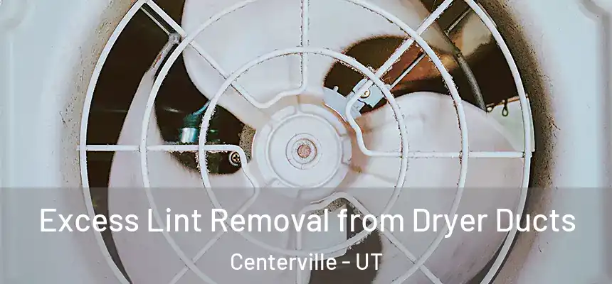Excess Lint Removal from Dryer Ducts Centerville - UT