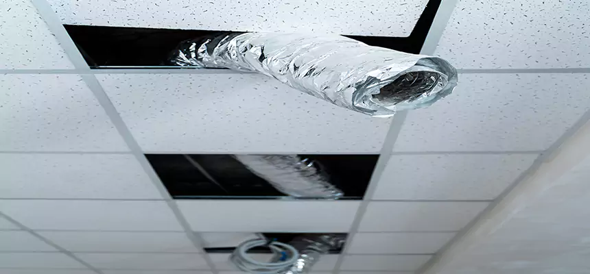 Affordable HVAC Sanitizing After Pest Removal in Centerville