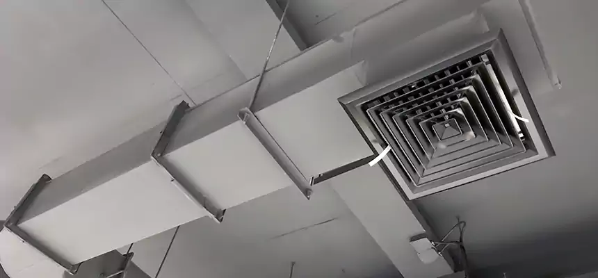 Our Pest Removal From Ducts Services in Centerville, UT