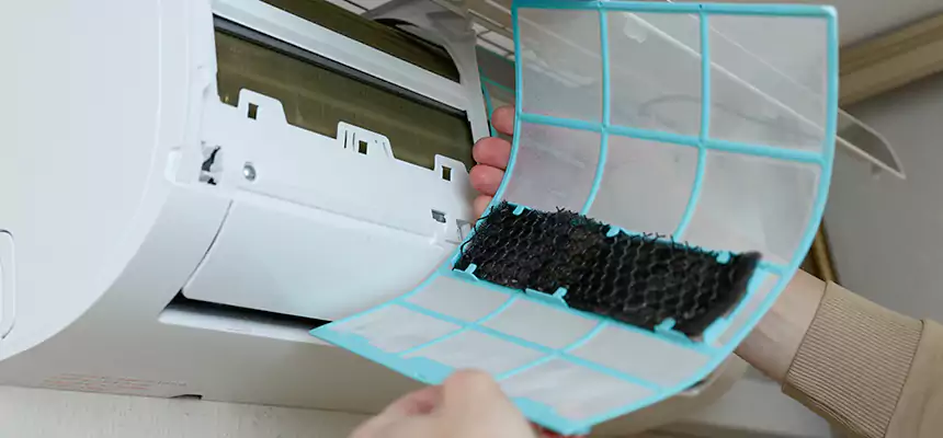 Gentle Ductwork Odor-Control Pet Dander Duct Cleaning in Centerville, UT