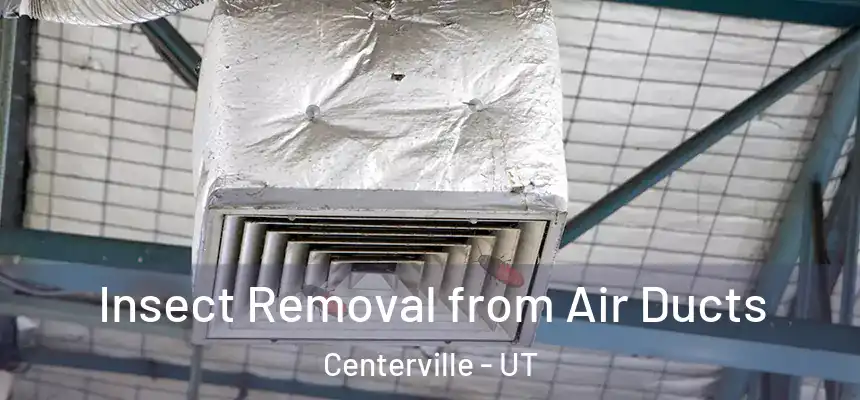 Insect Removal from Air Ducts Centerville - UT