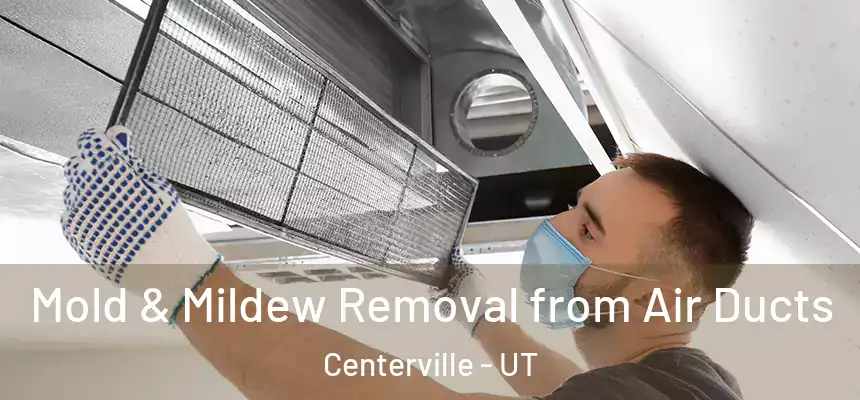  Mold & Mildew Removal from Air Ducts Centerville - UT