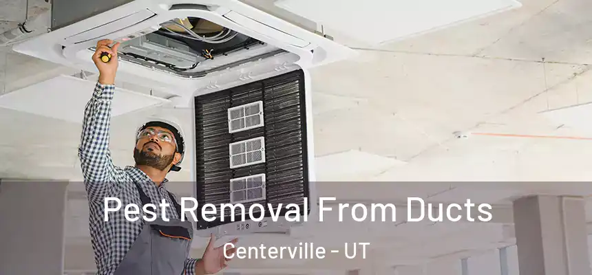 Pest Removal From Ducts Centerville - UT