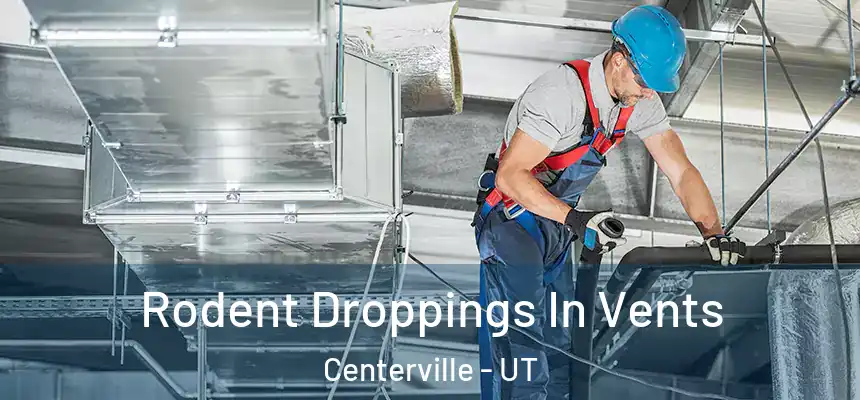 Rodent Droppings In Vents Centerville - UT
