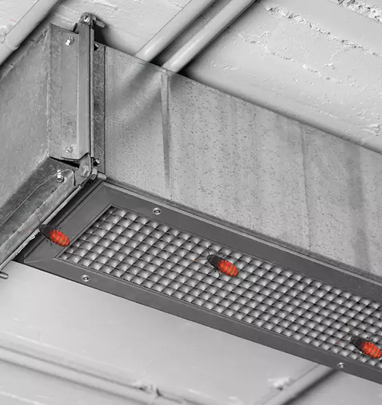 About Air Duct Cockroach Removal in Centerville, UT