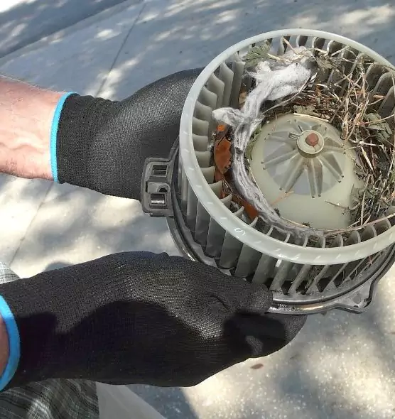 About Air Duct Mice Removal in Centerville, UT