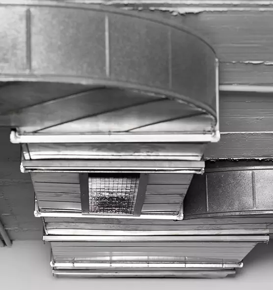 Professional Air Duct Pest Removal in Centerville, UT