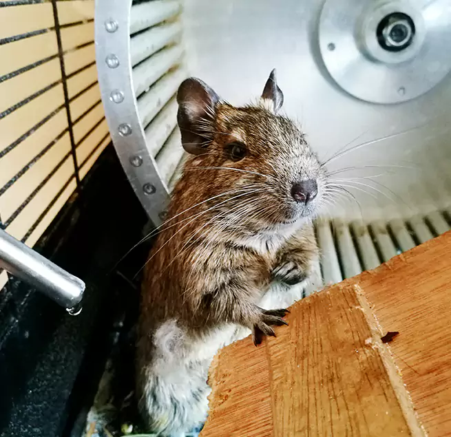 Why Homeowners & Businesses Trust Us Centerville, UT