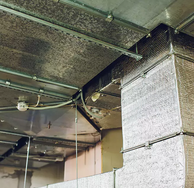 Why Homeowners & Businesses Trust Us in Centerville, UT?